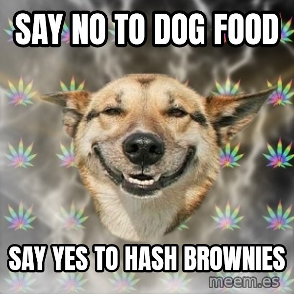 Stoner Dog meme: say no to dog food / say yes to hash brownies
