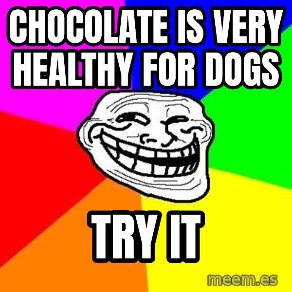 Trollface meme: chocolate is very healthy for dogs / try it