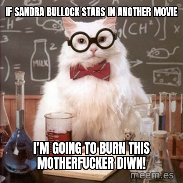 Chemistry Cat meme: If Sandra Bullock stars in another movie / I'm going to burn this motherfucker diwn!