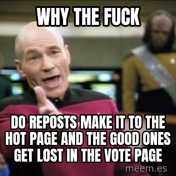 Why the fuck meme: why the fuck / do reposts make it to the hot page and the good ones get lost in the vote page