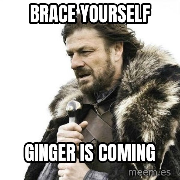 Brace Yourself Winter is Coming. meme: Brace Yourself / Ginger is coming