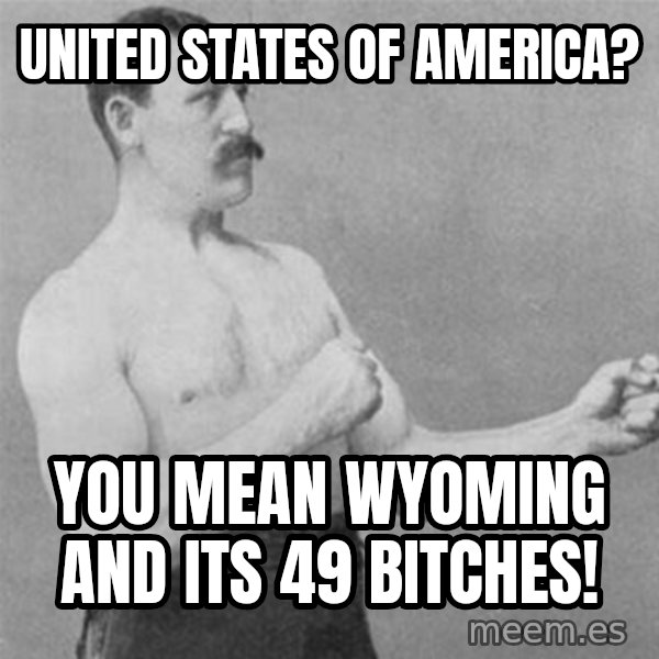 overly manlyman meme: UNITED STATES OF  AMERICA? / YOU MEAN WYOMING AND ITS 49 BITCHES!