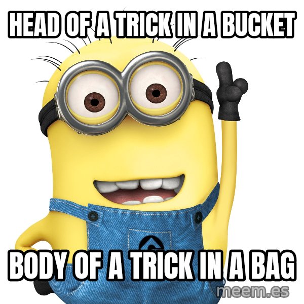 Despicable Me Minion meme: HEAD OF A TRICK IN A BUCKET / BODY OF A TRICK IN A BAG