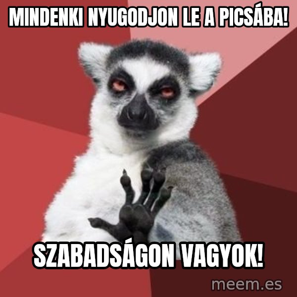 mindenki nyugodjon le a picsába meme: Mindenki nyugodjon le a picsába! / Szabadságon vagyok!