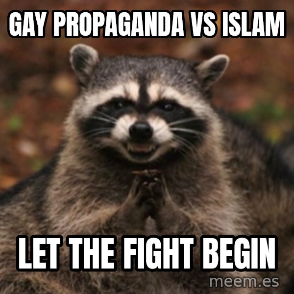 evil raccoon meme: Gay propaganda vs islam / let the fight begin
