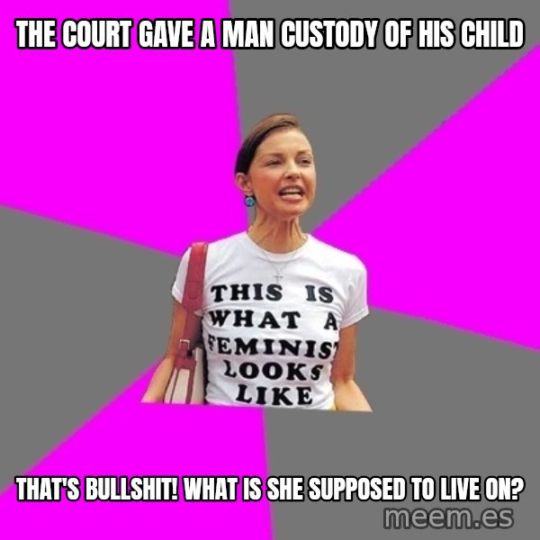 Feminist Cunt meme: the court gave a man custody of his child / that's bullshit! what is she supposed to live on?