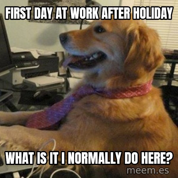 I have no idea what I'm doing - Dog with Tie meme: first day at work after holiday / what is it i normally do here?