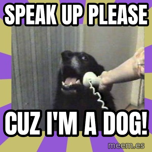 Yes, this is dog! meme: SPEAK UP PLEASE / CUZ I'M A DOG!