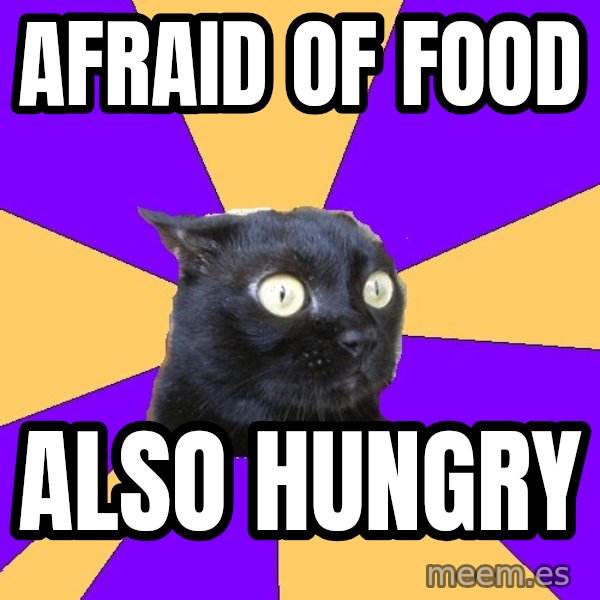 Anxiety Cat meme: afraid of food / also hungry