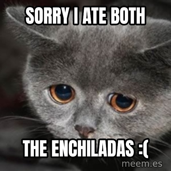 Sadcat meme: SORRY I ATE Both / The Enchiladas :(