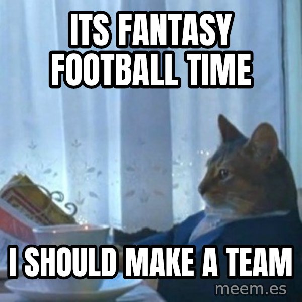 newspaper cat realization meme: Its Fantasy Football time / I should make a team