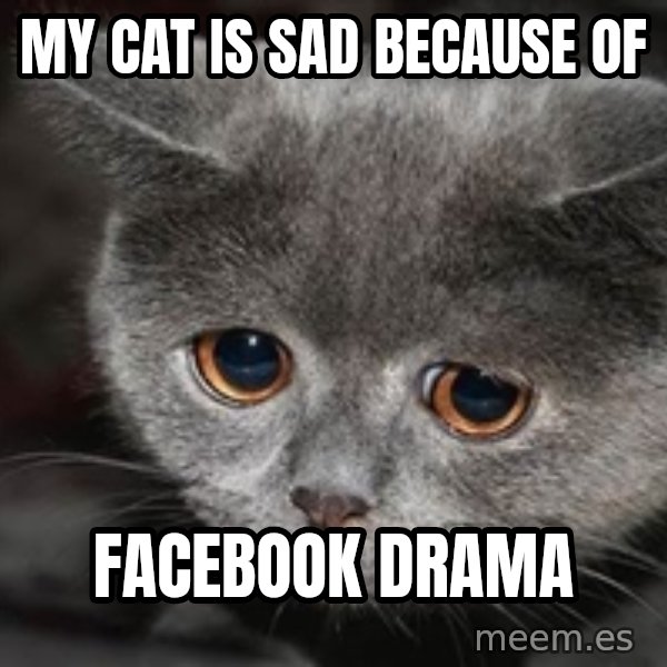 Sadcat meme: My cat is sad because of / Facebook drama