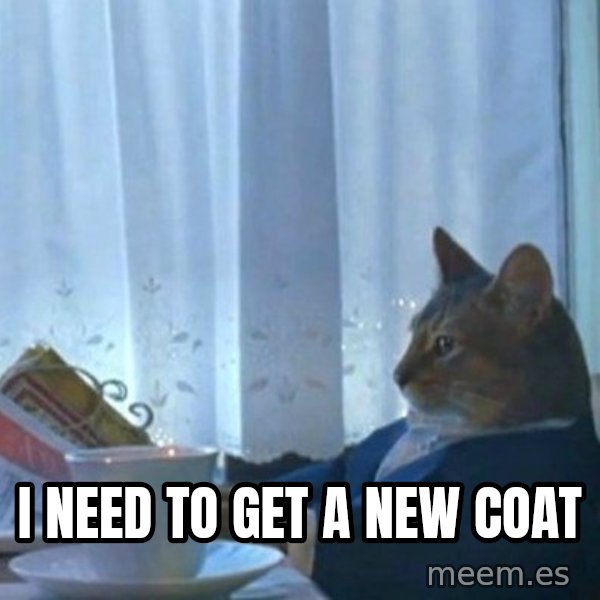 newspaper cat realization meme: I need to get a new coat