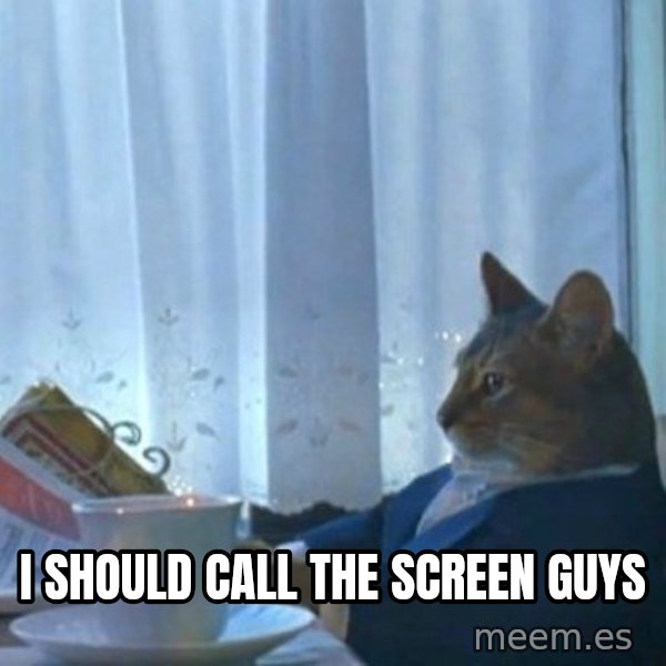 newspaper cat realization meme: I should call the screen guys