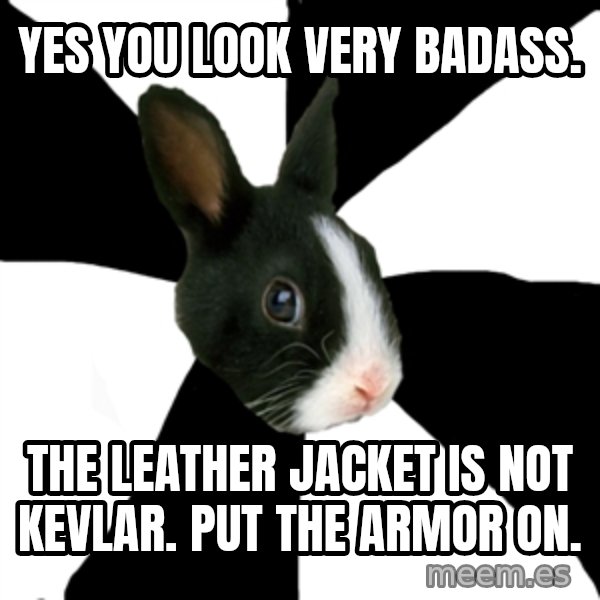 Roleplaying Rabbit meme: Yes you look very badass. / The leather jacket is not kevlar. Put the armor on.