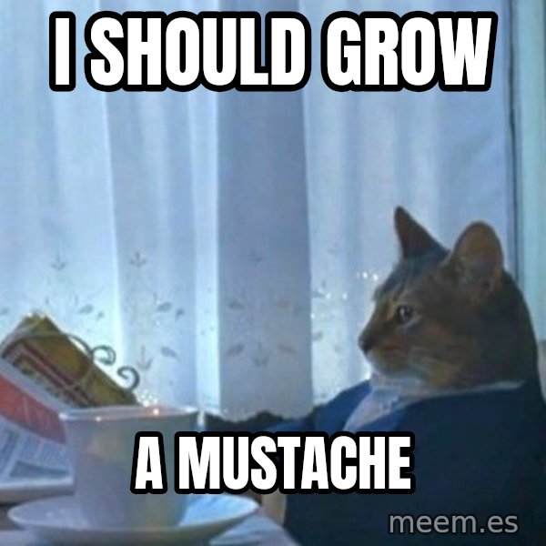 newspaper cat realization meme: I SHOULD GROW / A MUSTACHE