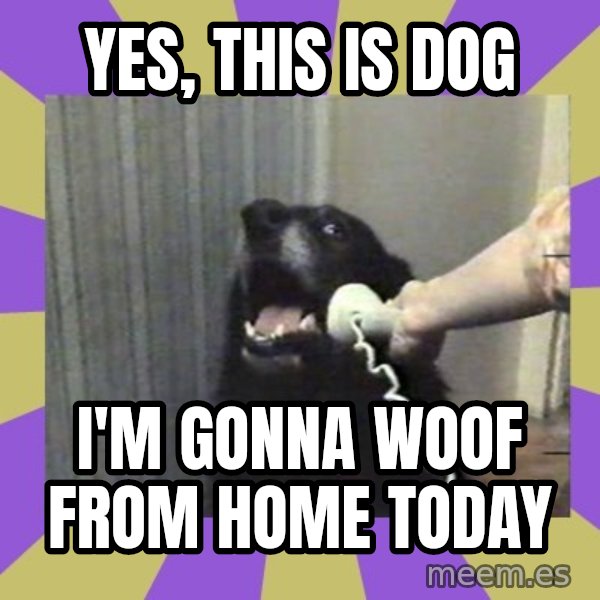 Yes, this is dog! meme: yes, this is dog / i'm gonna woof from home today