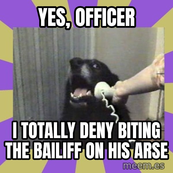 Yes, this is dog! meme: Yes, officer / I totally deny biting the bailiff on his arse