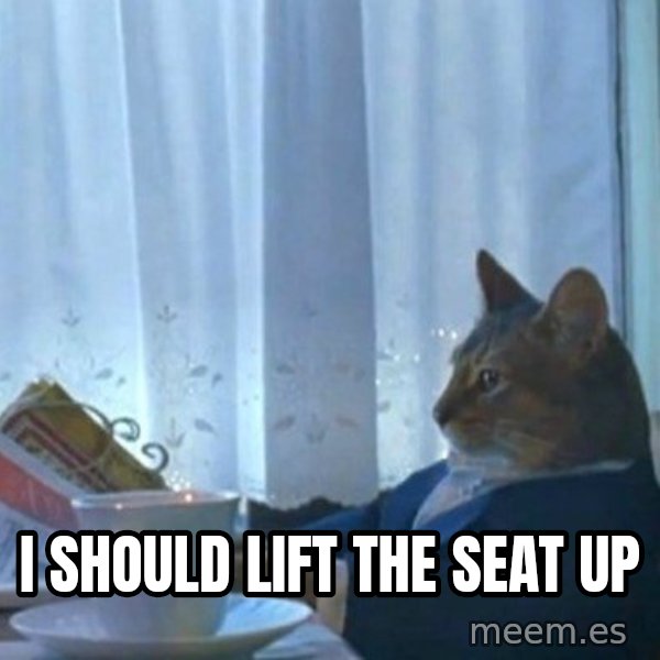 newspaper cat realization meme: I should lift the seat up