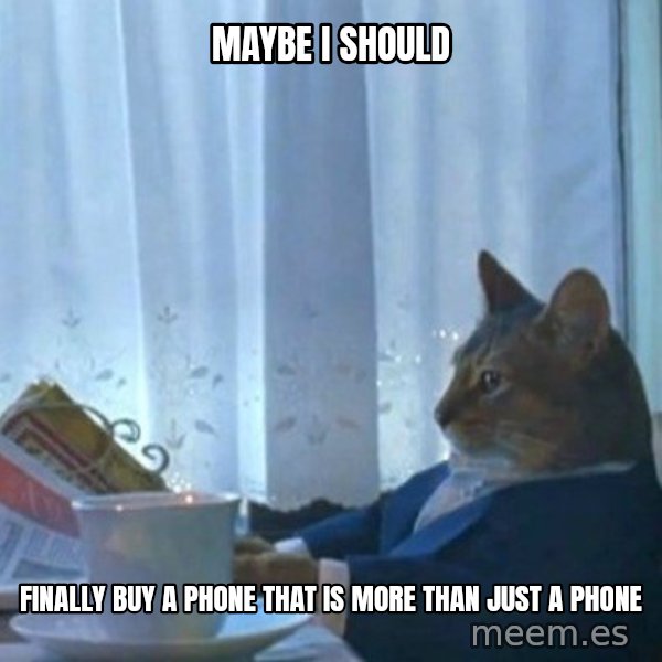 newspaper cat realization meme: MAYBE I SHOULD / FINALLY BUY A PHONE THAT IS MORE THAN JUST A PHONE