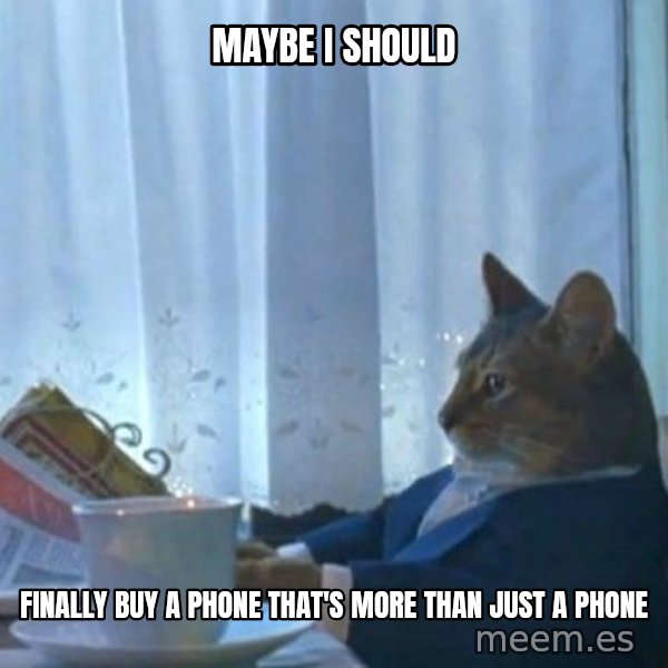 newspaper cat realization meme: MAYBE I SHOULD / FINALLY BUY A PHONE THAT'S MORE THAN JUST A PHONE