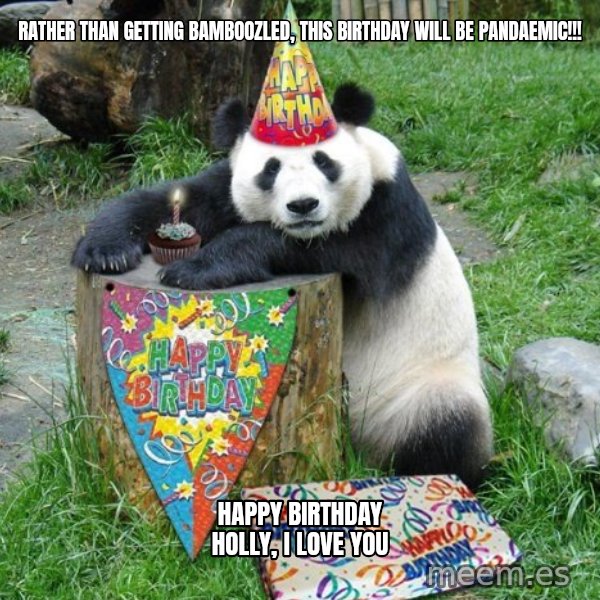 Happy Birthday Panda meme: RATHER THAN GETTING BAMBOOZLED, THIS BIRTHDAY WILL BE PANDAEMIC!!! / HAPPY BIRTHDAY HOLLY, I LOVE YOU