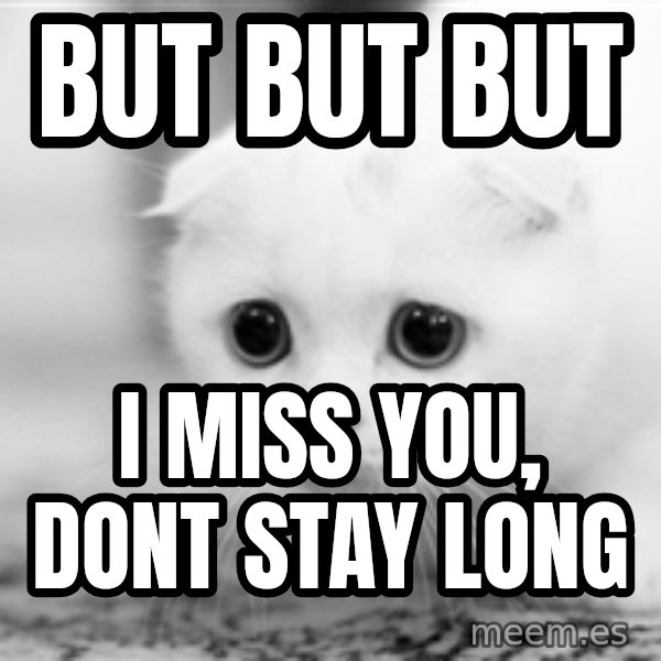 Sadcat meme: But BUt BUt / I miss you, dont stay long