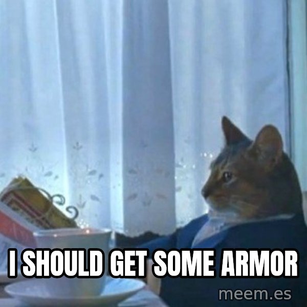 newspaper cat realization meme: I should get some armor