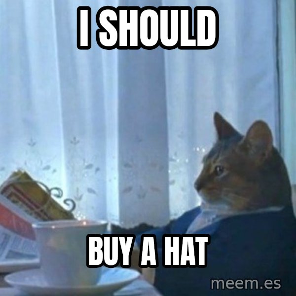 newspaper cat realization meme: I should / buy a hat