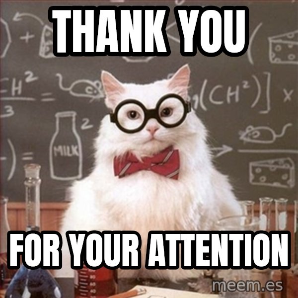 Science Cat meme: THANK YOU / FOR YOUR ATTENTION