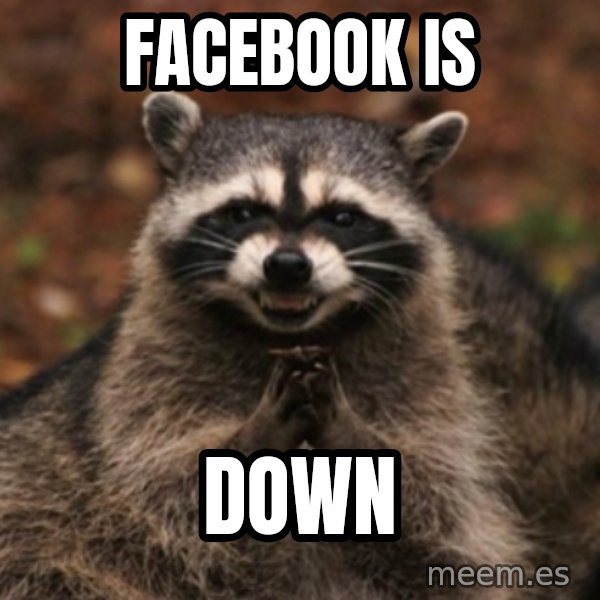 evil raccoon meme: Facebook is / Down