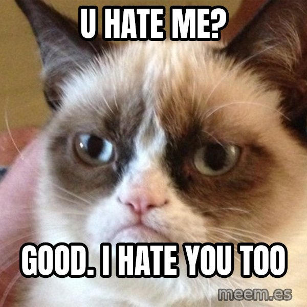Angry Cat Meme meme: U hate me? / GOOD.  I hate you too