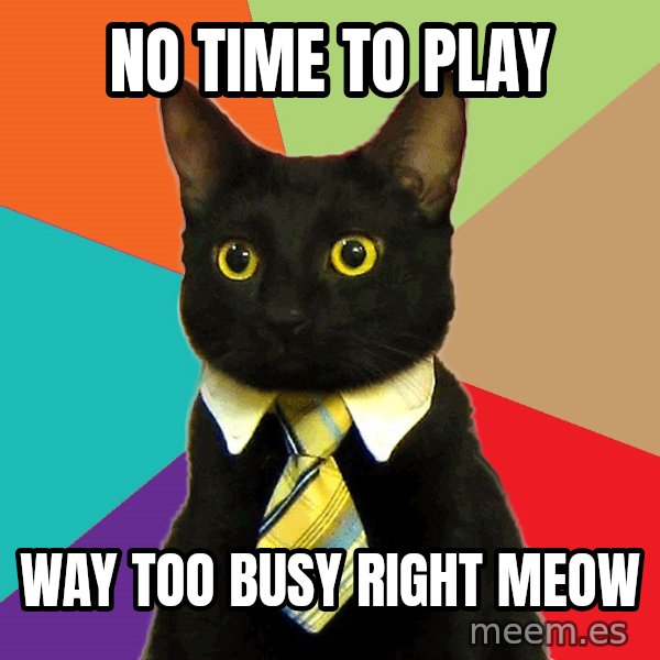 Business Cat meme: no time to play / way too busy right meow