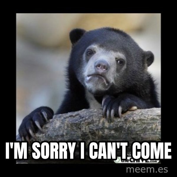 sad bear meme: I'm sorry I can't come