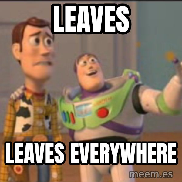 X, X Everywhere  meme: leaves / leaves everywhere