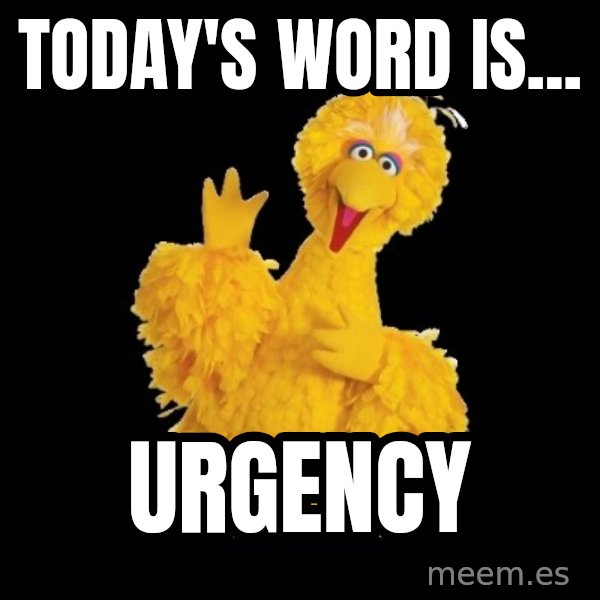 BIG BIRD meme meme: Today's Word Is... / URGENCY