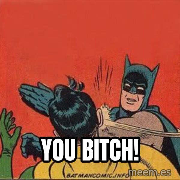 batman slap robin meme: you bitch!