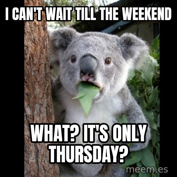 Koala can't believe it meme: I can't wait till the weekend / What? It's only Thursday?