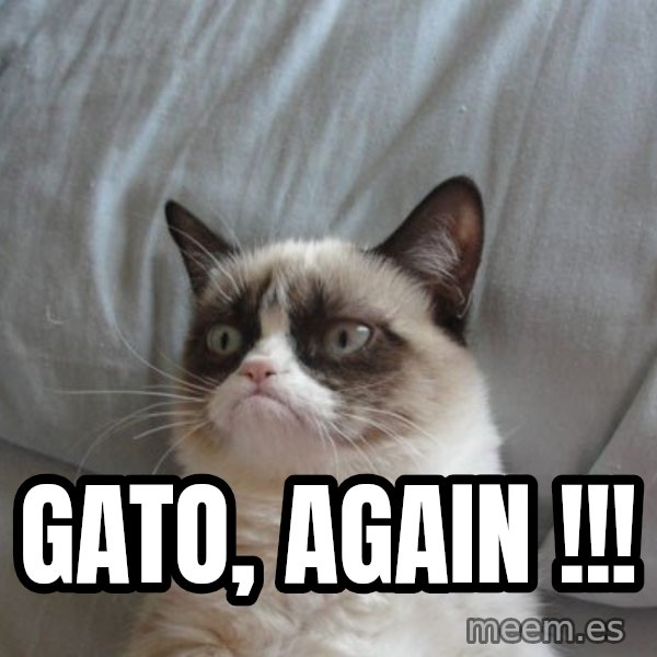 Grumpy cat good meme: GATO, AGAIN !!!