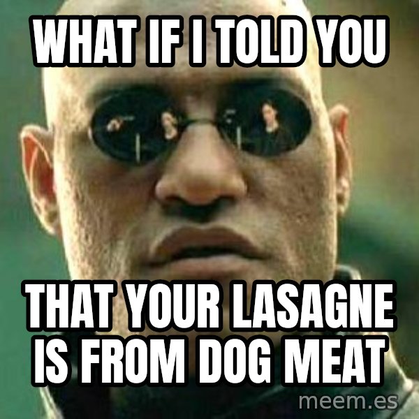 What if I told you / Matrix Morpheus meme: what if i told you / that your lasagne is from dog meat