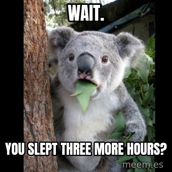 Koala can't believe it meme: Wait. / You slept three more hours?