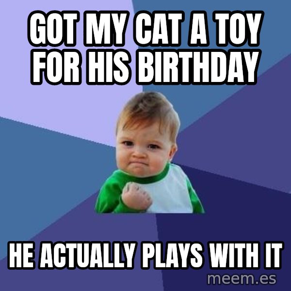 Success Kid meme: Got my cat a toy for his birthday / he actually plays with it