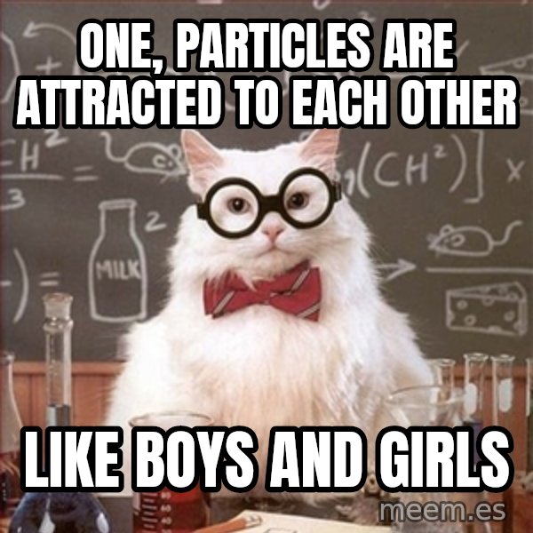 Science Cat meme: one, particles are attracted to each other / like boys and girls