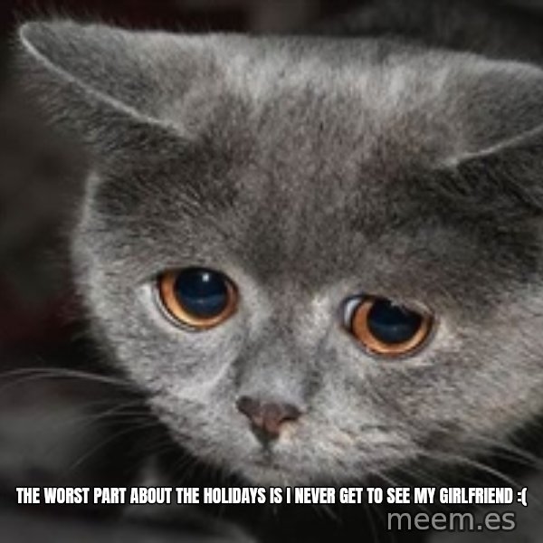 Sadcat meme: the worst part about the holidays is i never get to see my girlfriend :(