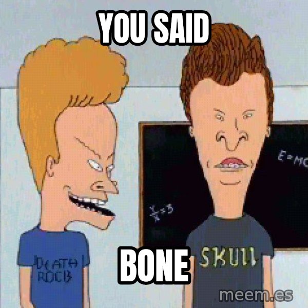 Beavis and butthead meme: YOU SAID / BONE