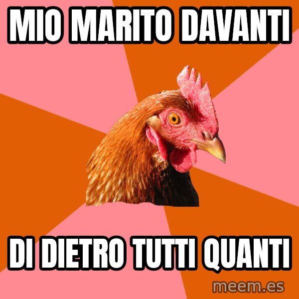 Anti Joke Chicken meme: Mio marito davanti / Di dietro tutti quanti