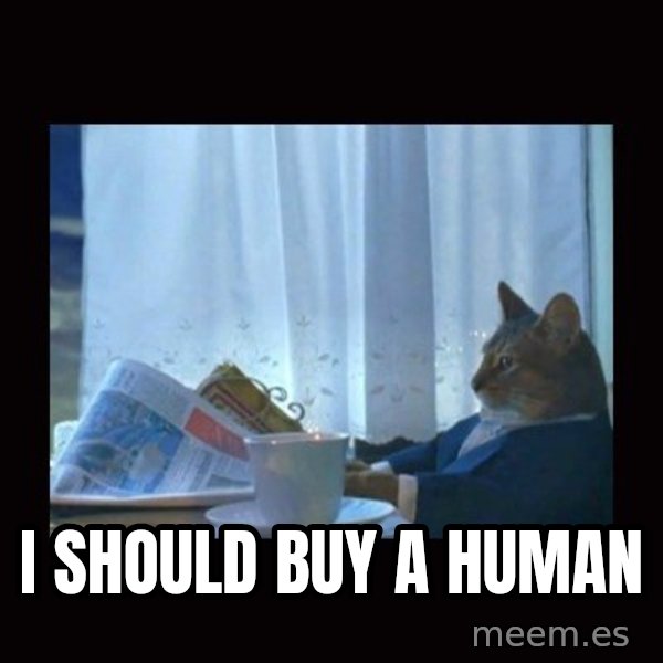 i should buy a boat cat meme: i should buy a human