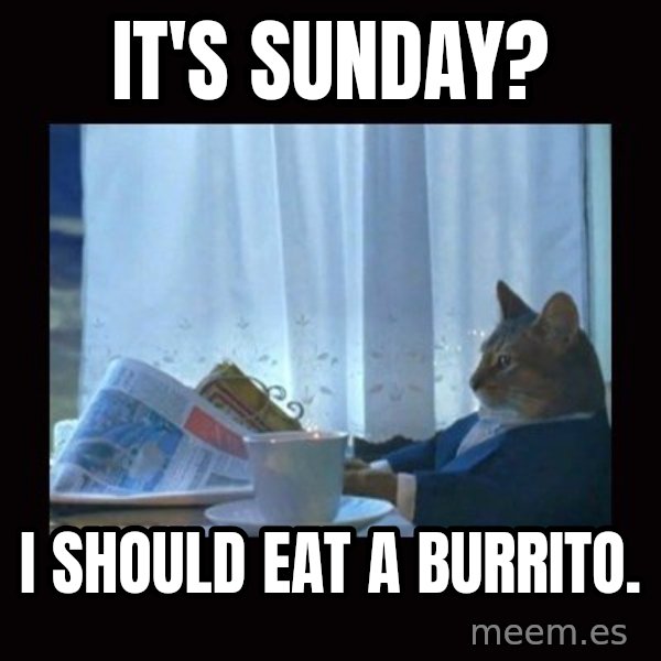 i should buy a boat cat meme: It's Sunday? / I should eat a burrito.