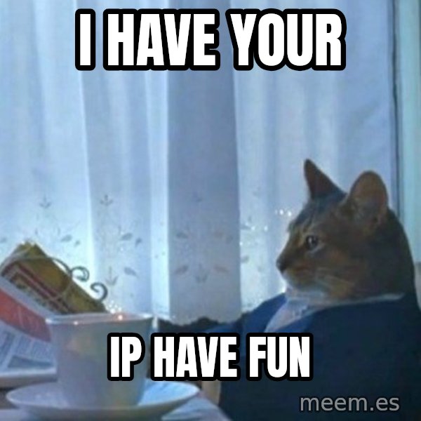 newspaper cat realization meme: I have your / IP have fun
