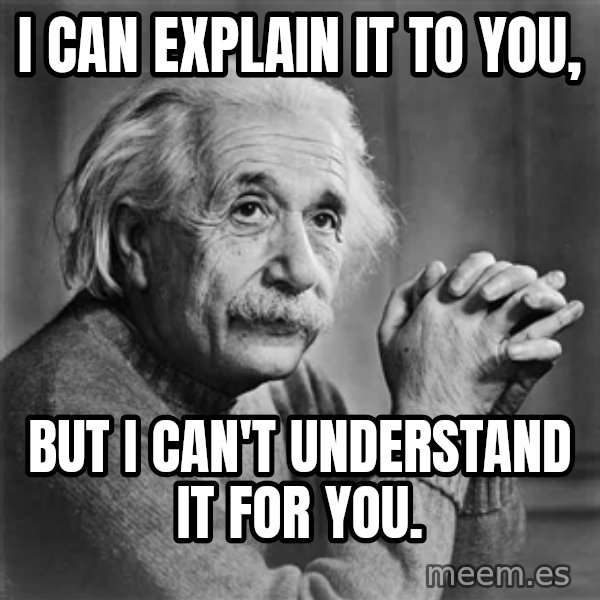 Albert Einstein meme: I can explain it to you, / But I can't understand it for you.